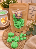 Wax Melts aroma amanecer floral