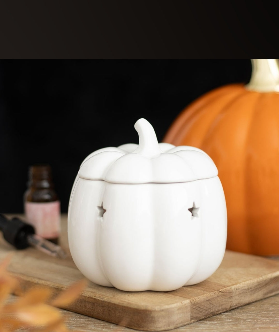 Quemador de Wax Melts